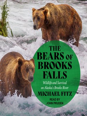 cover image of The Bears of Brooks Falls